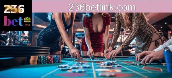 Cassino 236BET app mobile